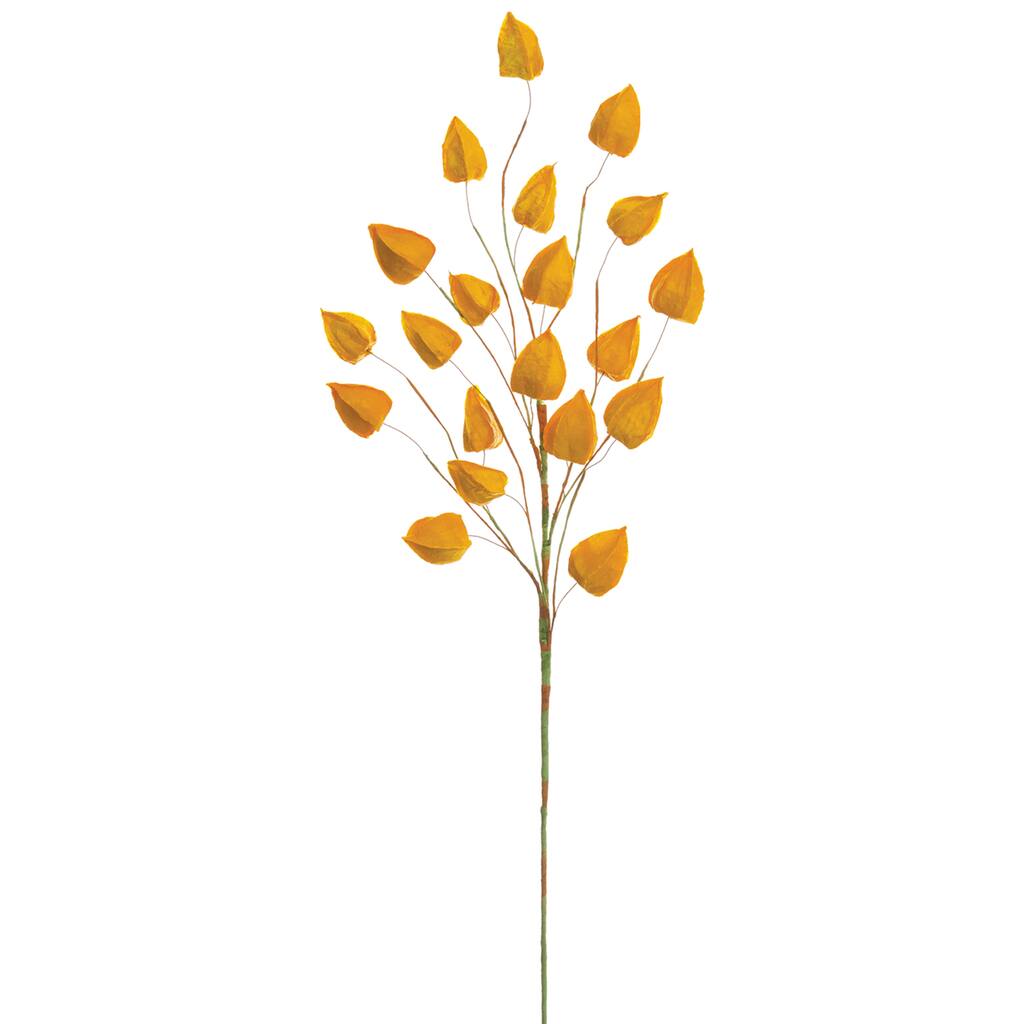 D205898S_1.jpg img